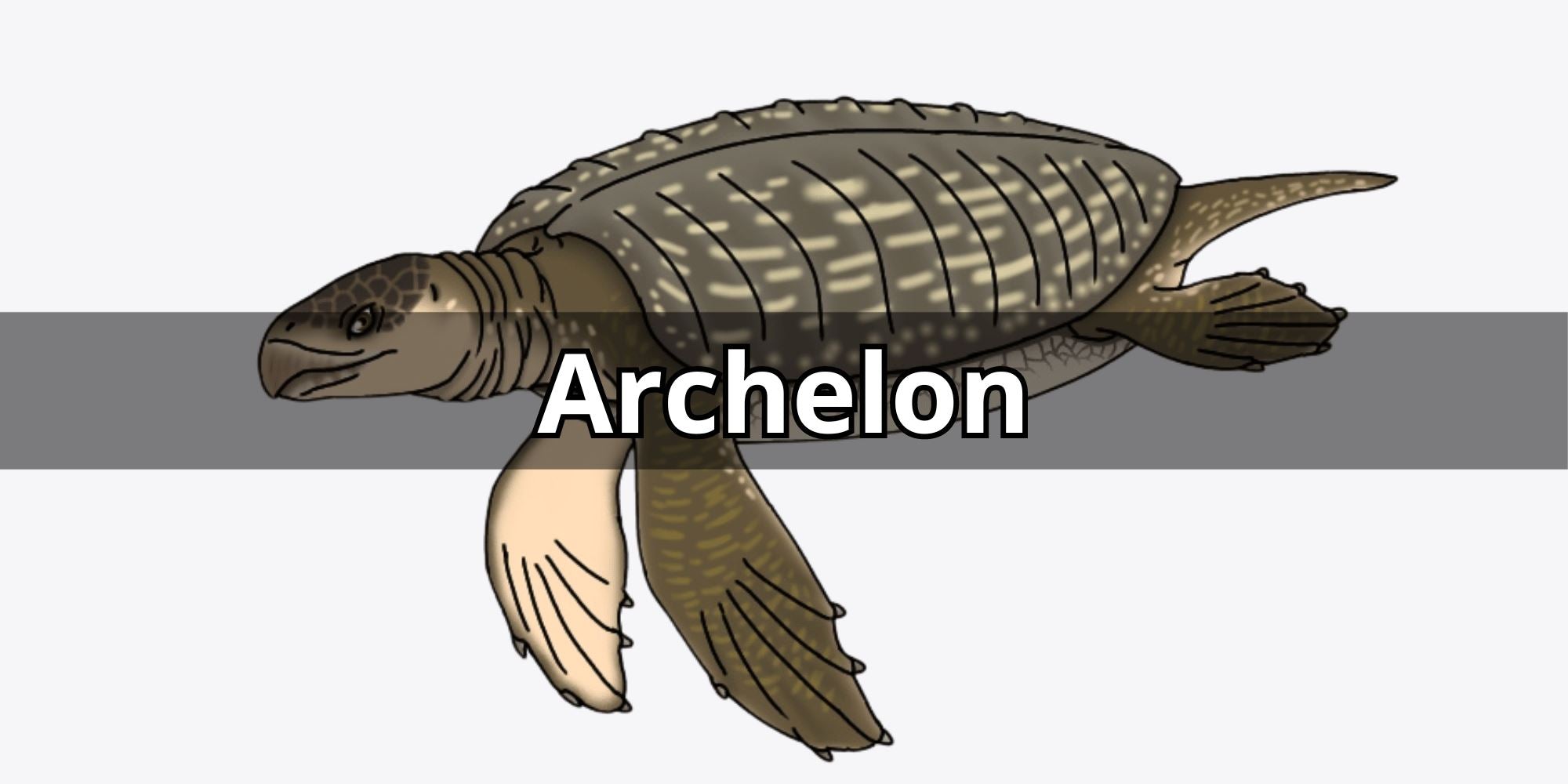Archelon: La Tortue Titan de la Préhistoire