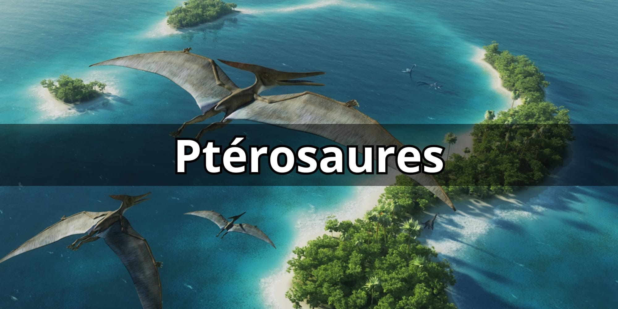 Ptérosaure