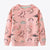 Pull Dinosaure Pour Fille